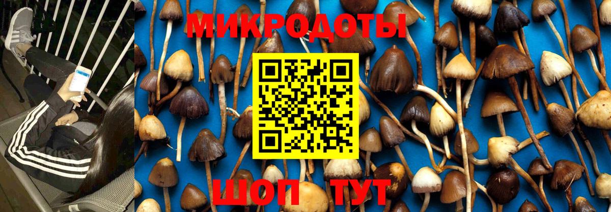 Галлюциногенные грибы Magic Shrooms  Вход с VPN  Чита 